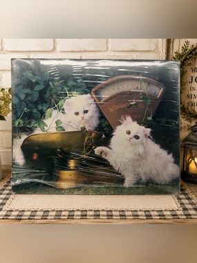 Vintage 1987 Ron Kimball Kittens & Scale Poster 16x20 World Pictures Cat Art USA